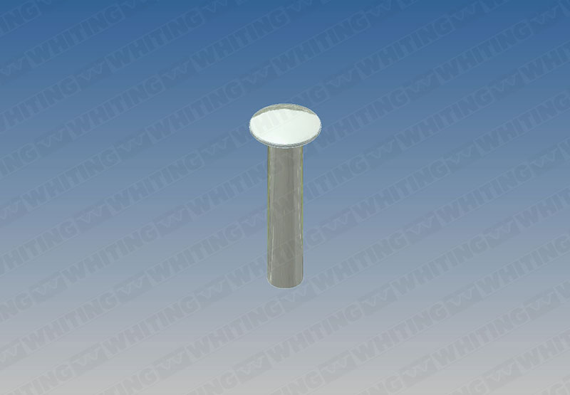 Rivet, Stainless Steel 1/4 X 2-1/8 X 1/2` Head (For Strap, Lock Assy)